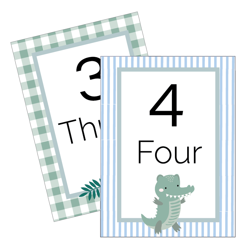 Example of Crocodile themed number cards for classroom.